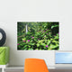 Impatiens In Foreground Wall Mural