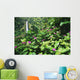 Impatiens In Foreground Wall Mural
