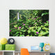 Impatiens In Foreground Wall Mural