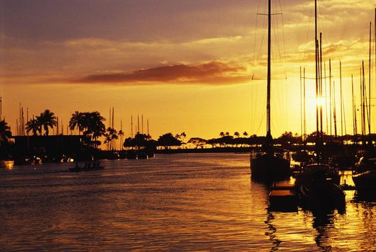 Hawaii, Oahu, Waikiki Yacht Harbor At Sunset Wall Mural