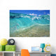 Ripple Of Crystal Clear And Turquoise Water Breaks On Sandy Shore Wall Mural