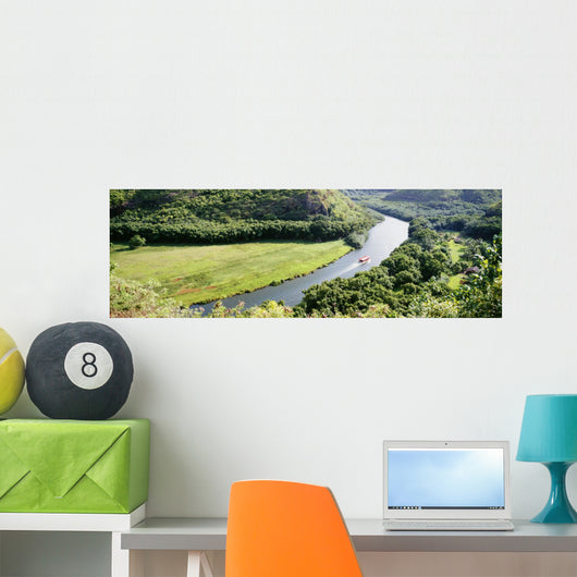 Panoramic Wall Mural