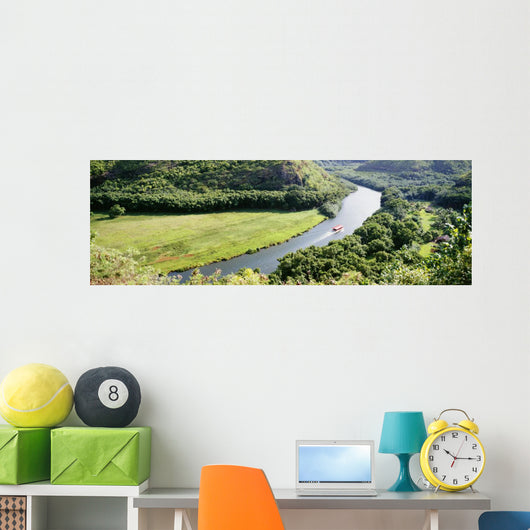 Panoramic Wall Mural