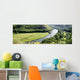 Panoramic Wall Mural