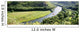 Panoramic Wall Mural