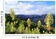 Hawaii, Kauai, Waimea Canyon, Iliau Plant, Found Only On Kauai Wall Mural