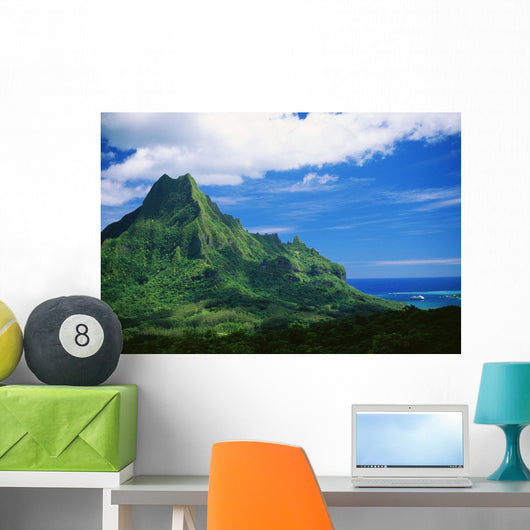 Ocean Below Wall Mural