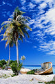 French Polynesia, Beach With Boat Wreck On Shore Wall Mural