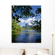 View Of Mount Rotui From Across Opunohu Bay Wall Mural