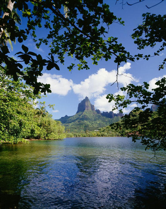 View Of Mount Rotui From Across Opunohu Bay Wall Mural