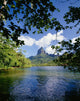 View Of Mount Rotui From Across Opunohu Bay Wall Mural