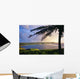Silhouette Of Palm Tree Wall Mural