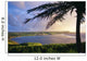 Silhouette Of Palm Tree Wall Mural