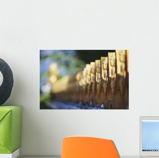 Laos, Luang Prabang, Detail Of Temple Fence Wall Mural