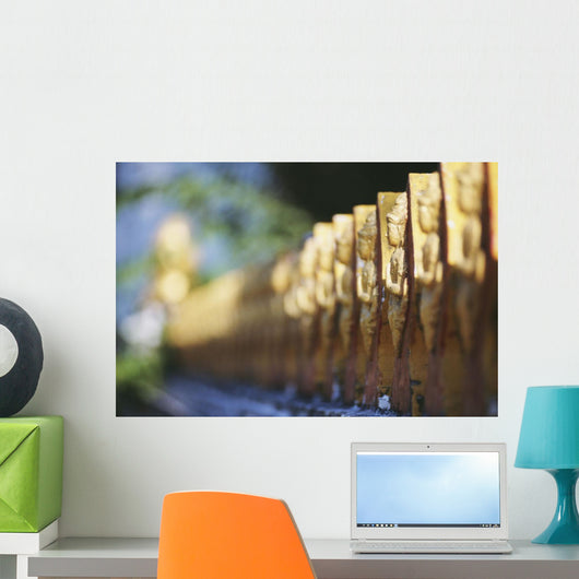 Laos, Luang Prabang, Detail Of Temple Fence Wall Mural