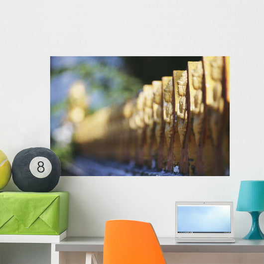Laos, Luang Prabang, Detail Of Temple Fence Wall Mural