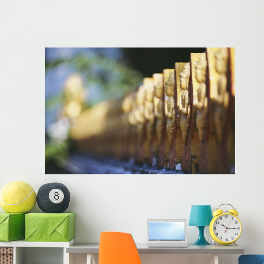 Laos, Luang Prabang, Detail Of Temple Fence Wall Mural