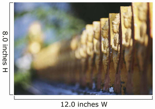 Laos, Luang Prabang, Detail Of Temple Fence Wall Mural