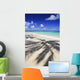 Beach Scene With Palm Shadow On Shoreline Sand, Tropical Wall Mural
