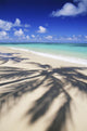 Beach Scene With Palm Shadow On Shoreline Sand, Tropical Wall Mural