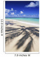 Beach Scene With Palm Shadow On Shoreline Sand, Tropical Wall Mural