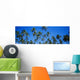 Grove Of Palm Trees, Bright Blue Sky, Panoramic Wall Mural