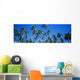 Grove Of Palm Trees, Bright Blue Sky, Panoramic Wall Mural