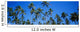 Grove Of Palm Trees, Bright Blue Sky, Panoramic Wall Mural