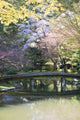 Bridge In Nitobe Memorial Garden Wall Mural