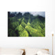 Hawaii, Kauai, Makalena Mountains, Lush Aerial View Of Mountain Ridges Wall Mural