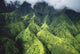 Hawaii, Kauai, Makalena Mountains, Lush Aerial View Of Mountain Ridges Wall Mural