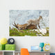 Mother Ibex and Young Wall Decal