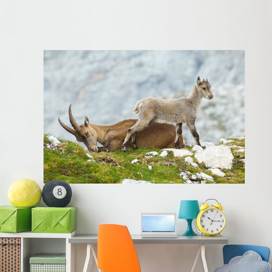 Mother Ibex and Young Wall Decal