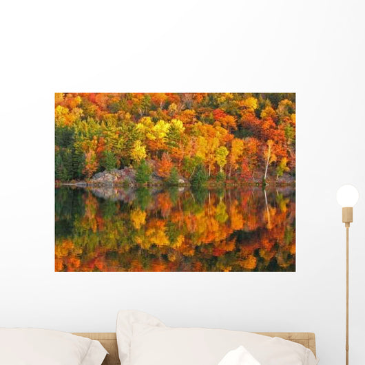 Killarney 0413 Wall Decal