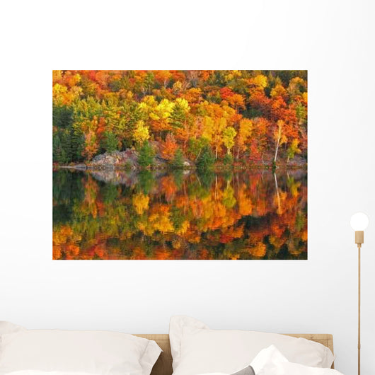 Killarney 0413 Wall Decal