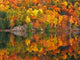 Killarney 0413 Wall Decal