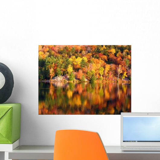 Morning Lake Wall Decal