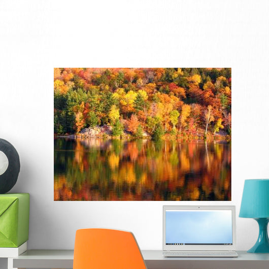 Morning Lake Wall Decal