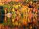 Morning Lake Wall Decal