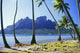 French Polynesia, Tahiti, Bora Bora Coast With Palm Trees Wall Mural