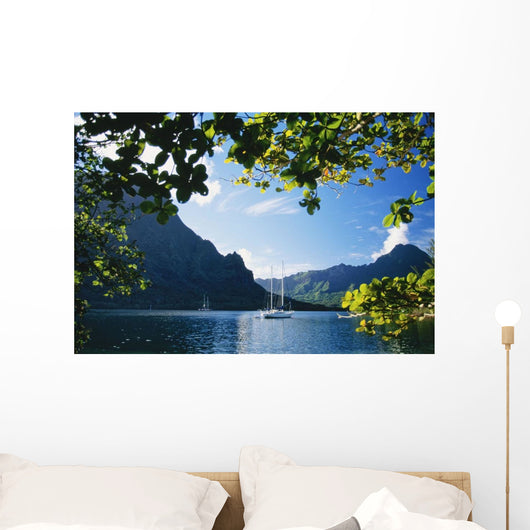 View Through Trees Wall Mural