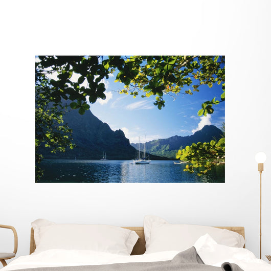 View Through Trees Wall Mural