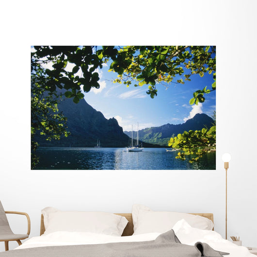 View Through Trees Wall Mural