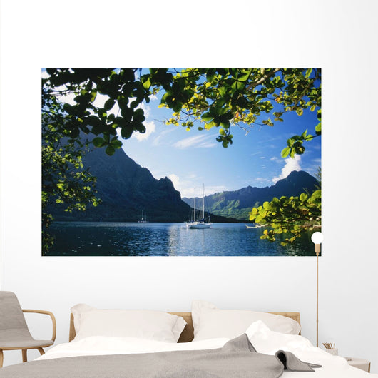 View Through Trees Wall Mural