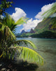 View From Across Cook's Bay With Sailboat Moored Wall Mural