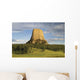 Devils Tower National Monument Wall Mural