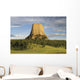 Devils Tower National Monument Wall Mural