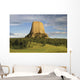 Devils Tower National Monument Wall Mural
