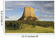 Devils Tower National Monument Wall Mural