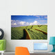 Hawaii, Maui, Pukalani, Pineapple Fields Stretch Out To The Horizon Wall Mural